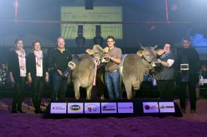 k-5OB Champion beide